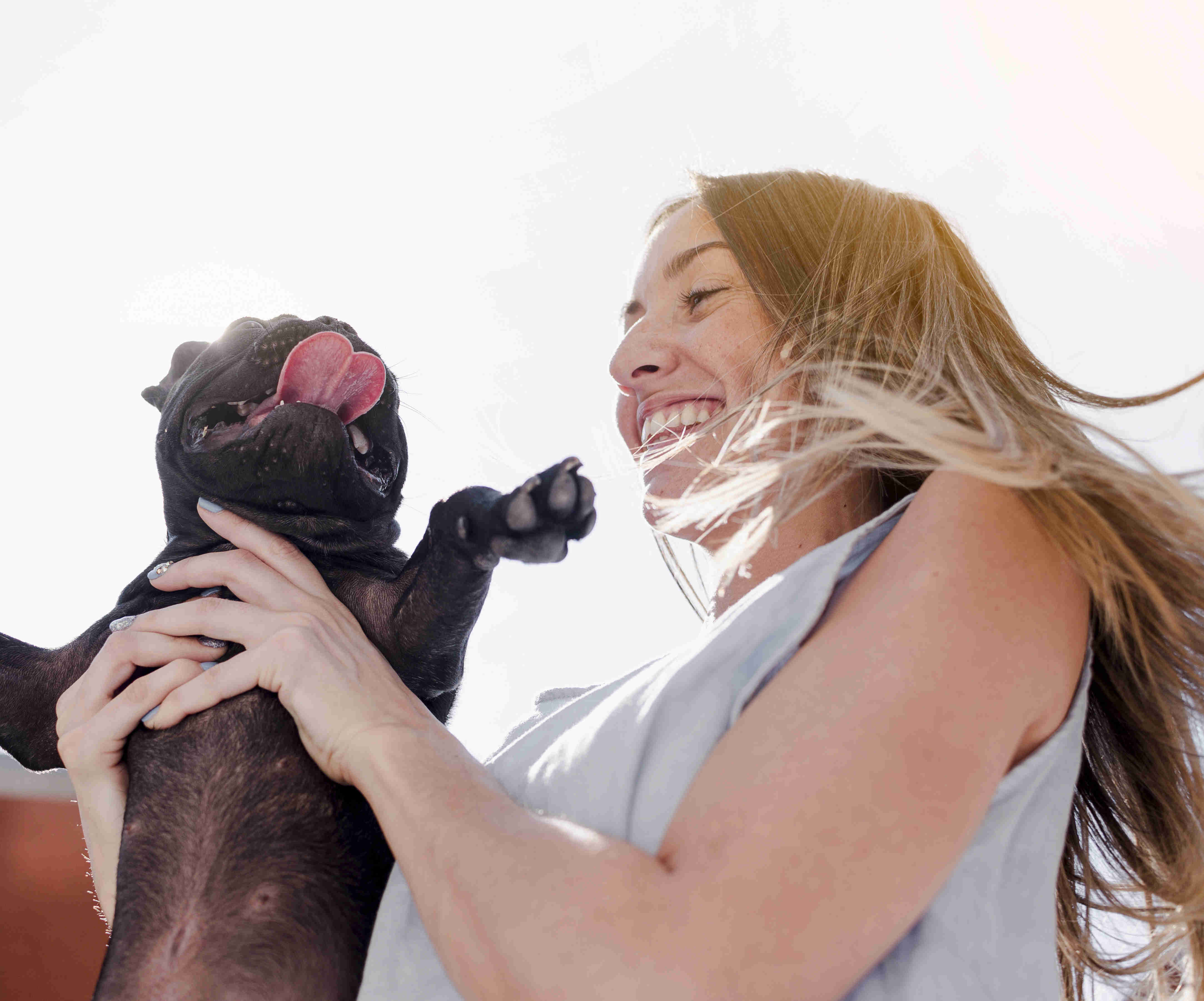 5 Effective Ways to Train Your French Bulldog Puppy for Calm Nail Trims